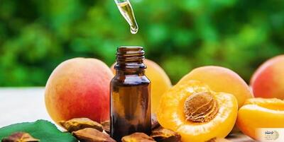 موهای پرپشت می خواهید بخوانید/ فواید روغن این میوه برای موهای شما 