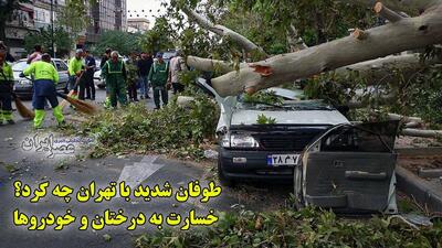 طوفان شدید با تهران چه کرد؟ خسارت به درختان و خودروها / شاخص کیفیت هوای تهران دگرگون شد / شاید تا ۱۰ اردیبهشت دوباره تکرار شود (فیلم)