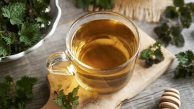 فواید شگفت‌انگیز گزنه را بشناسید