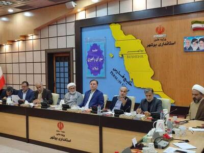 تدوین برنامه‌های جدید شیلاتی برای توسعه بازارهای بین‌المللی