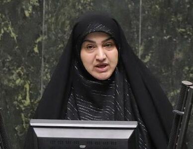 رئیس فراکسیون محیط زیست مجلس شهادت محیط‌بان پارک ملی گلستان را تسلیت گفت