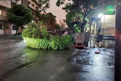 تلفات طوفان شدید در تهران؛ یک کشته و ۲۹ مجروح