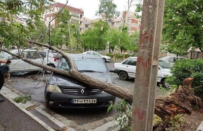 طوفان تهران چند مصدوم داشت؟