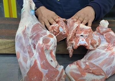 انتخاب بهترین گوشت قرمز برای خورشت / کدام قسمت گوشت گوسفند برای خورشت بهتر است