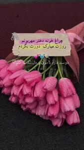 کلیپ دخترم روزت مبارک برای استوری اینستا