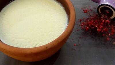 ماست پروبیوتیک راز سلامتی بدن و دلایل علمی آن!