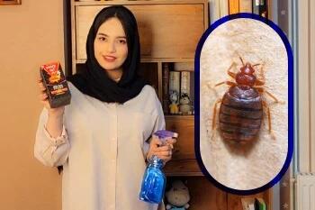 آموزش سمپاشی ساس منزل بدون تخلیه منزل