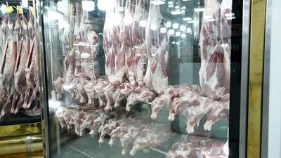 آغاز طرح توزیع گوشت گرم ویژه دهک‌ها