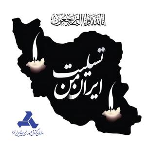 پیام معاون وزیر صمت و رئیس هیئت عامل ایدرو در پی حادثه تلخ بندر شهید رجایی￼ - سایت خبری اقتصاد پویا