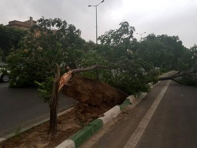 یک فوتی و مصدومیت ۲۴ نفر در تهران به دلیل توفان شدید