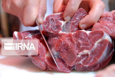 قیمت گوشت قرمز امروز ۷ اردیبهشت ۱۴۰۴ | قیمت فیله گوسفندی هوش از سرتان می پراند!