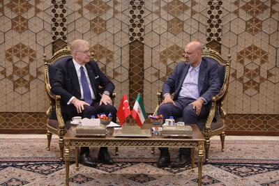 رئیس کمیسیون آموزش مجلس: دانشگاه مشترک میان ایران و ترکیه تشکیل شود