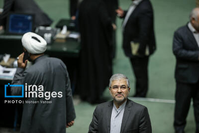 نماینده تهران: باید به خودکفایی در تولید گندم دست یابیم