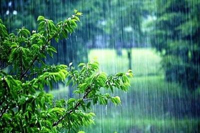 پیش بینی آب و هوای زنجان فردا دوشنبه ۸ اردیبهشت 1404