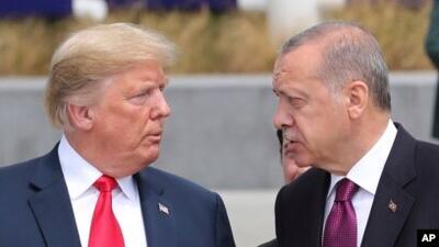ترامپ به اردوغان تبریک گفت