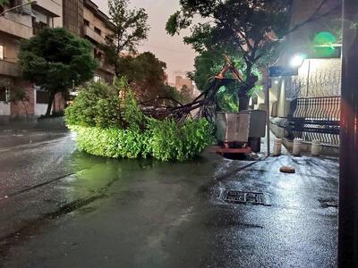 6 مصدوم بر اثر وقوع طوفان در تهران