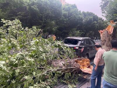 عکس | سقوط تابلوی راهنمایی رانندگی‌ روی خودرو در میدان ونک