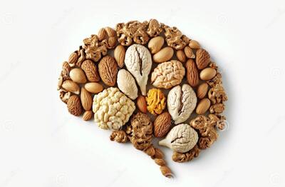 غذاهای فوق‌العاده برای ذهنی تیز و خلاق/ سوپرفودها؛ راز تقویت حافظه