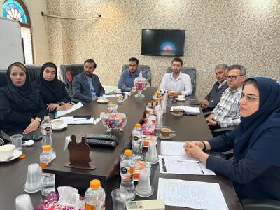 بوشهر در آستانه عضویت در شبکه جهانی شهرهای دوستدار سالمند