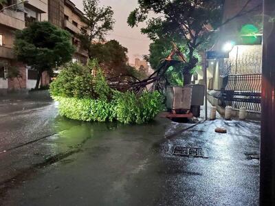 طوفان شدید در تهران ٢۴ نفر مصدوم و یک فوتی برجای گذاشت / احتمال افزایش تعداد مصدومان