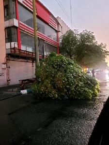 طوفان تندری تهران را درنوردید