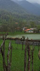 فیلم روستای استخرگاه در شهرستان رودبار / تماشای مناظر بکر گیلان