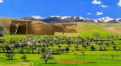 تکرار یک اشتباه، مرگ چشمه پناه