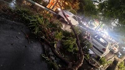 طوفان تهران ٢۴ مصدوم و یک فوتی برجای گذاشت