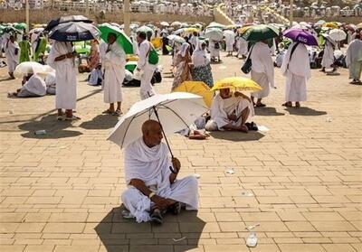 بازدید انجمن گردشگری مصر از عربستان صعودی - تسنیم