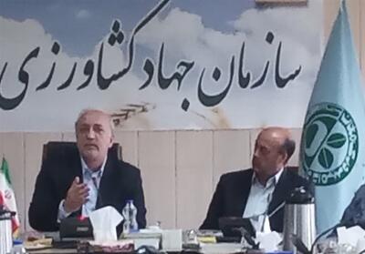 هسته اجرایی کشت و صنعت به بخش خصوصی واگذار شود - تسنیم
