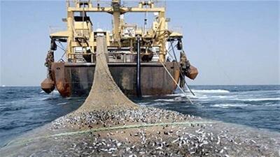 مجوز صید ترال برای ۲۱ کشتی در آب‌های بوشهر؛ معیشت صیادان در خطر است