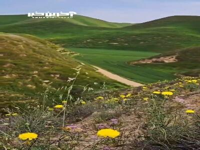 نمایی از طبیعت ترکمن صحرا
