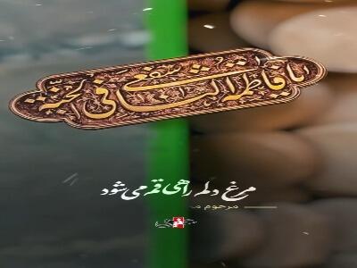 باز دلم راهی قم می‌شود...