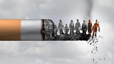وقتی امید از دل اعتیاد متولد شد؛ قصه بازگشت علی به زندگی