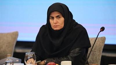 پیگیری اختصاص اعتبار اوراق گواهی سپرده خاص برای تکمیل پتروشیمی زنجان