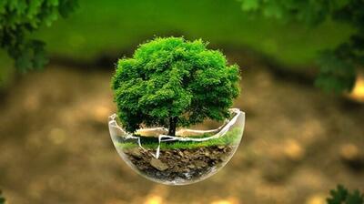 با محک برای زمینی پاک‌تر در روز جهانی زمین پاک