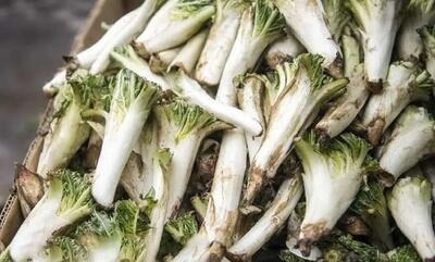 طرز تهیه دمنوش کنگر کوهی+ بهترین زمان مصرف