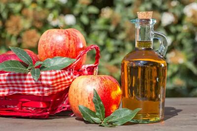 طرز تهیه انواع سرکه خانگی / با چه میوه‌هایی می‌توان سرکه درست کرد؟