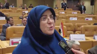 همکاری شرکت‌های آفریقایی با دانش بنیان‌های ایرانی+ فیلم