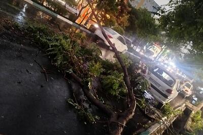 طوفان تهران جان چند را گرفت؟