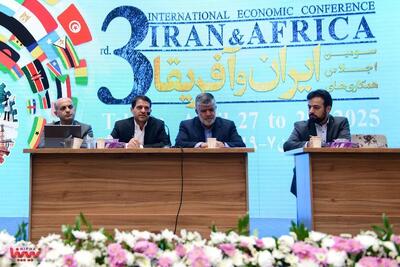 افزایش همکاری‌های پتروشیمی ایران و آفریقا