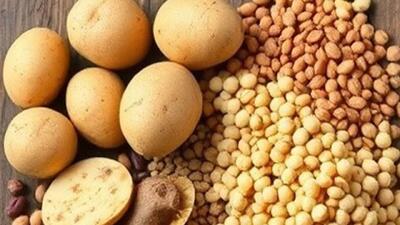 لوبیا چیتی و سیب‌زمینی روی دست مرغ و گوشت بلند شدند