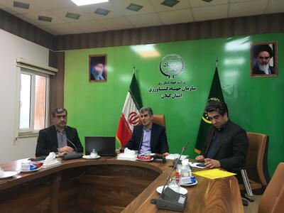 چهار هزار و ۲۴۸ هکتار از مستثنیات مردم در تالاب انزلی رفع تداخل شد