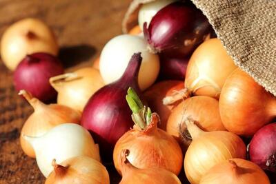 آغاز خرید تضمینی پیاز در کشور