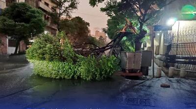 توفان در تهران؛ خسارت به ۹۸ خودرو و آماده‌باش مدیریت بحران