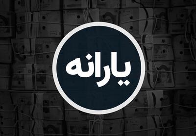 دهک‌بندی یارانه‌ها الکترونیکی می‌شود