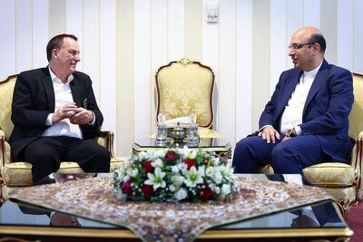 دکتر علی نژاد:هیچ محدودیتی برای همکاری ما وجود ندارد