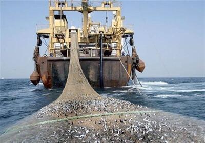 مجوز صید ترال برای ۲۱ کشتی در آب‌های بوشهر؛ معیشت صیادان در خطر است