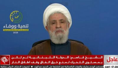 شیخ نعیم قاسم: اولویت حزب‌الله، اخراج اسرائیل از لبنان است