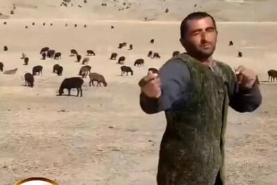 آواز شاد؛ چوپانه گله رو ول کرده وسط صحرا داره با ناز میرقصه؛ فقط نگاهای گوسفندا